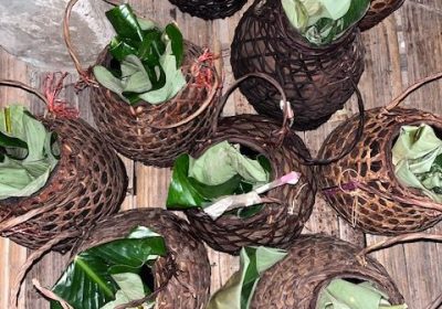 For Arunachal Pradesh’s Adi Pasi Tribe, Reviving Millets Means Preserving Indigenous Identity and Protecting the Ecosystem5